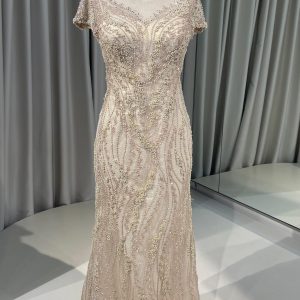 Champagne Mermaid Dress 4
