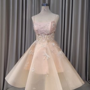 Champagne A-line Dress