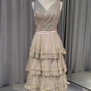 Champagne A-line Dress 5